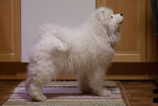 20091027-IMG_2268.jpg