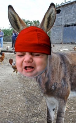 [CryingDemDonkey[3].jpg]