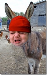 CryingDemDonkey