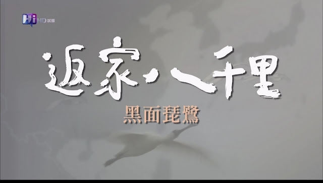 0228150006DVB-T公共電視 Hi_HD.jpg