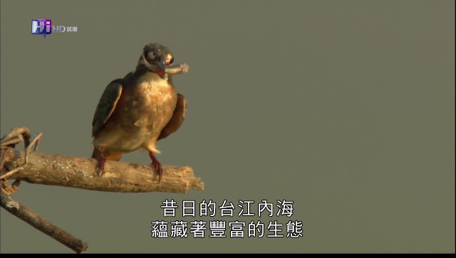 0228150039DVB-T公共電視 Hi_HD.jpg