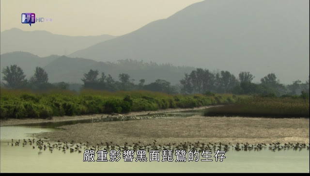 0228150258DVB-T公共電視 Hi_HD.jpg