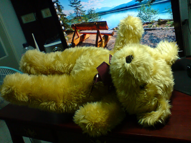DSC06247.JPG
