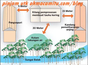 tauhu anjing