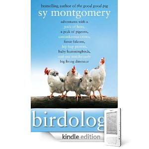 birdology.jpg