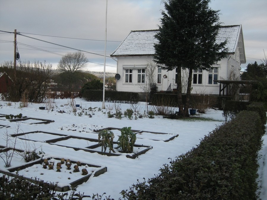 [2009-01-25 Hagen (4)[2].jpg]