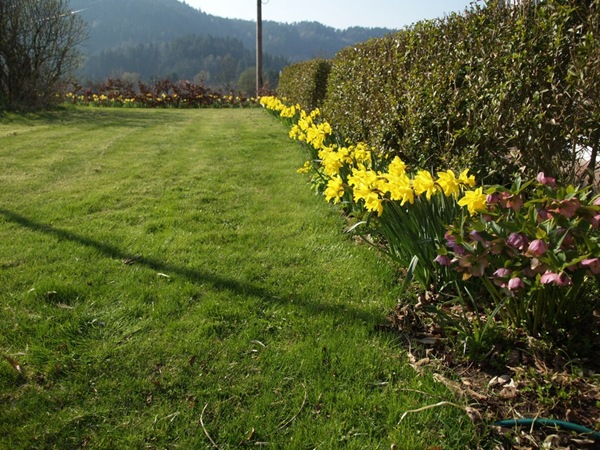 2009-04-24 (13)