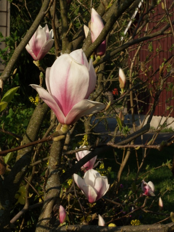 2009-04-30 April (9)