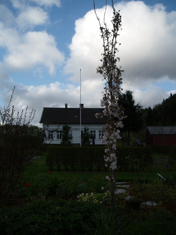 2009-05-07 Mai (54)