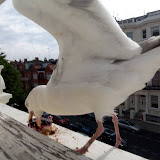 100_6056.JPG