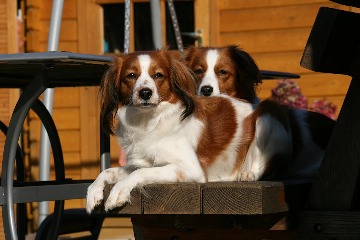 Holly & Leyla