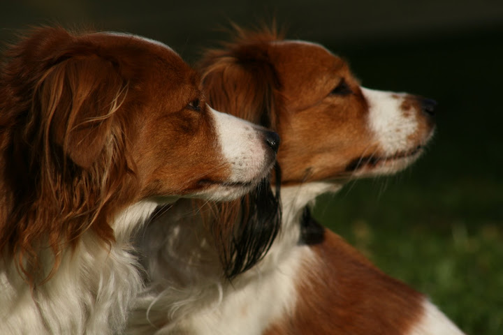 Holly & Leyla
