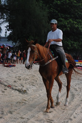 [DSC_2650[5].jpg]