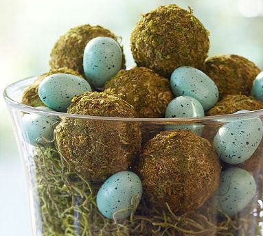 Birds egg and moss centerpiece
