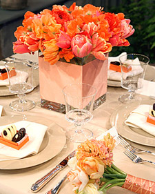 Martha Stewart tulips