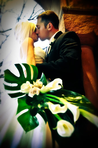 Amanda Williams Photography