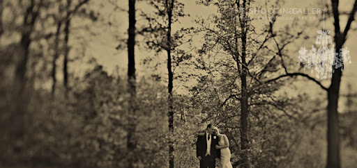 The Shooting Gallery