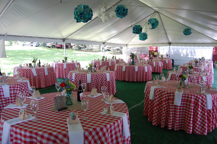 Upscale picnic wedding reception