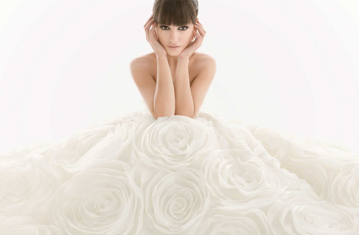 Le Salon wedding dress shop Troy