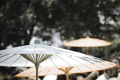 Synechdoche photography