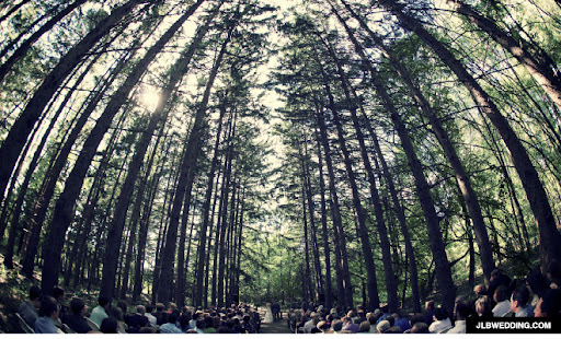 JLB Wedding photography Stoney Creek in Detroit, MI 