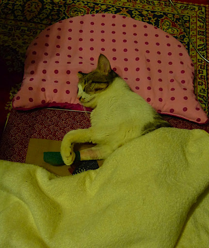 P1030220.JPG