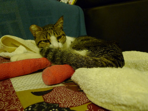 P1030458.JPG