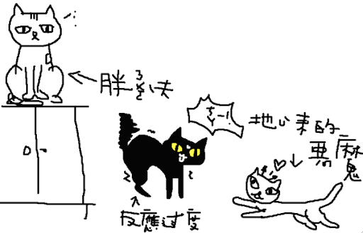 7.gif