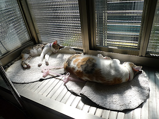 P1050307.JPG