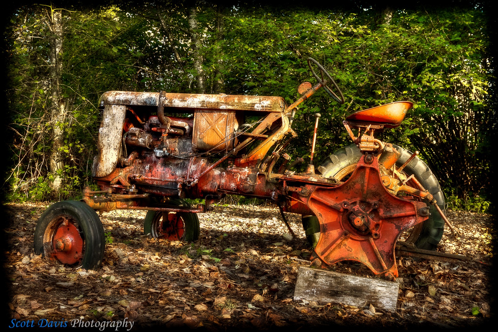 [SDP-20101016-112HDR-Edit[3].jpg]