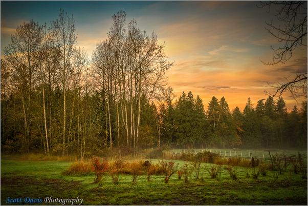 SDP-20101103-HDR