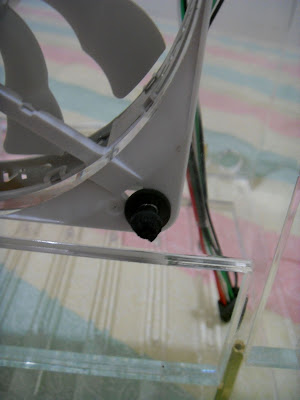 SDC10106.JPG