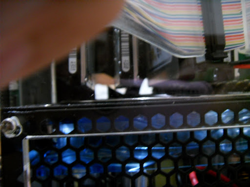 SDC10117.JPG