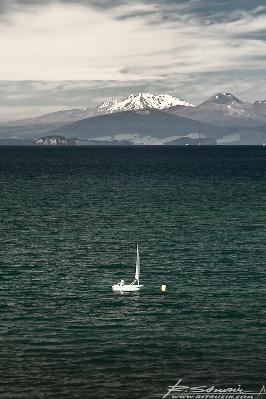 IMG_2316_1.jpg