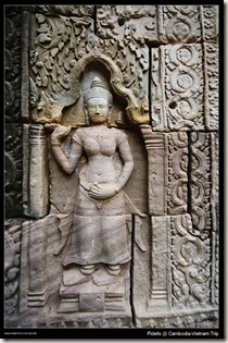 angkor81 angkor81