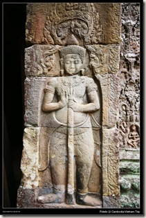 angkor80 angkor80