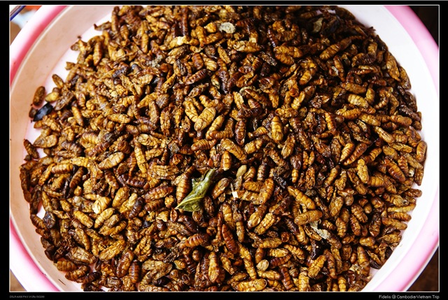 [cambodiavietnamtrip5063.jpg]