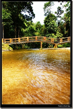 bukit hijau1 bukit hijau1