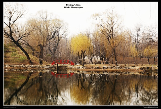 [bejing1193.jpg]