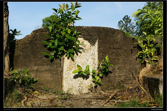 [bukit cina13[3].jpg]