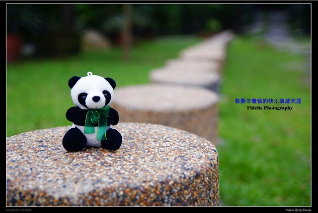 [Panda103.jpg]