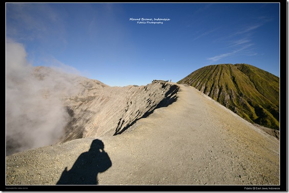 bromo39 bromo39