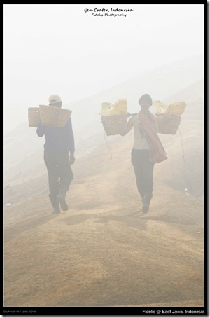 ijen21 ijen21
