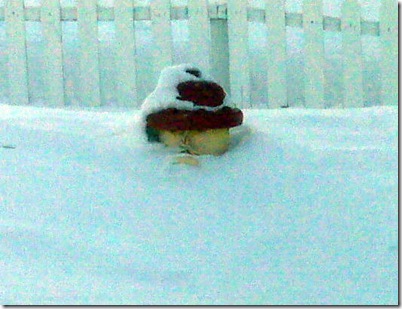IMG00557 IMG00557