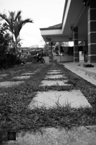 [B&W17[5].jpg]