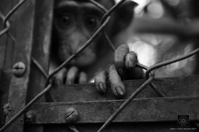 [B&W5[4].jpg]