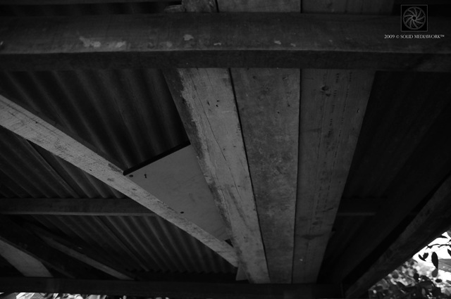 [B&W11[4].jpg]