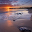 Kohi Sunrise - New Zealand Kohi Sunrise - New Zealand