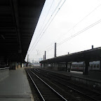 IMG_2364.JPG