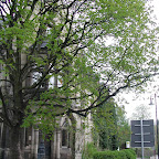 DSCN0106.JPG